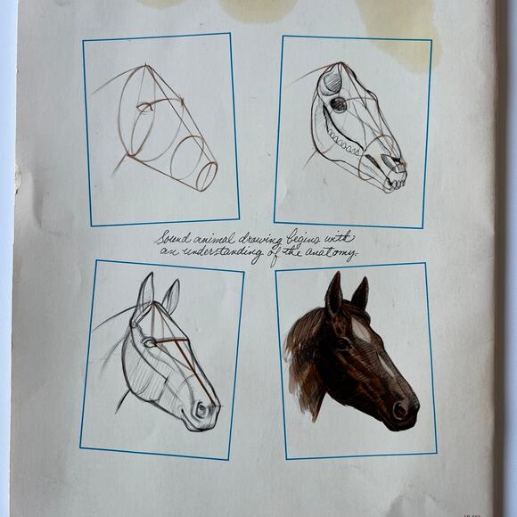 Animal Drawing Instruction Manual - Picture 2 of 11